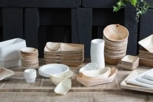 Piatti biodegradabili, il rispetto dell’ambiente arriva fino a tavola