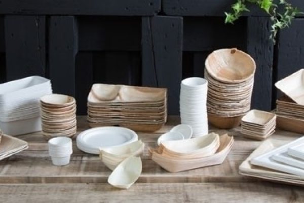 Piatti biodegradabili, il rispetto dell’ambiente arriva fino a tavola